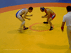 Luta Greco Romana